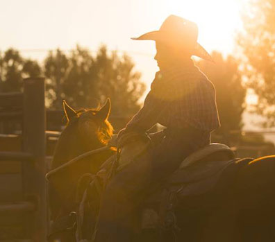 Boy riding a horse